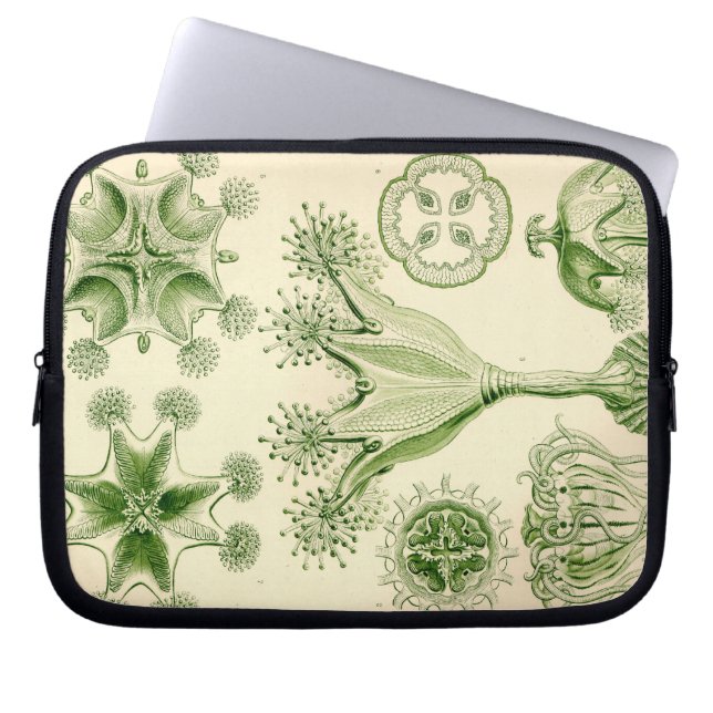 Capa Para Notebook Vintage Haeckel (Frente)