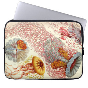 Capa Para Notebook Vintage Haeckel