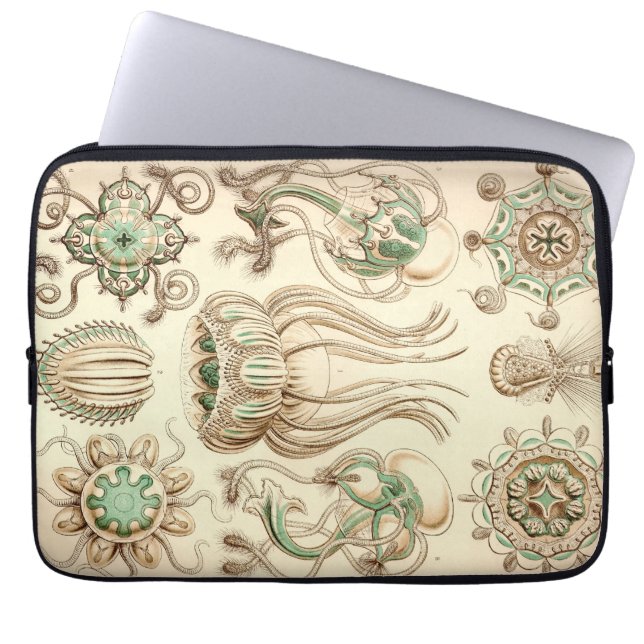 Capa Para Notebook Vintage Haeckel (Frente)