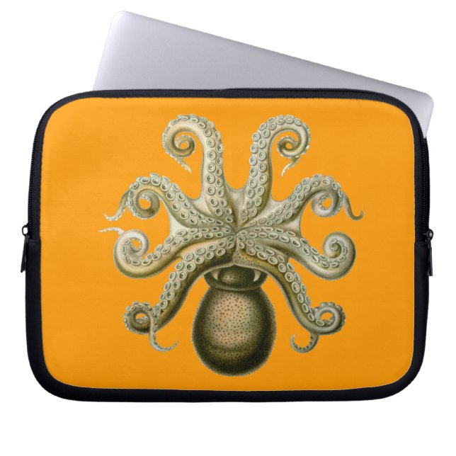 Capa Para Notebook Vintage Haeckel Octopus (Frente)