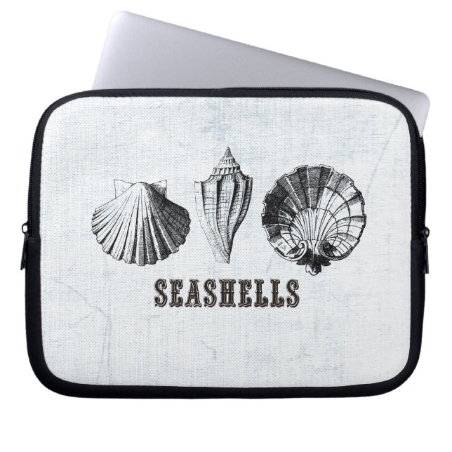 Capa Para Notebook Vintage Seashells (Frente)