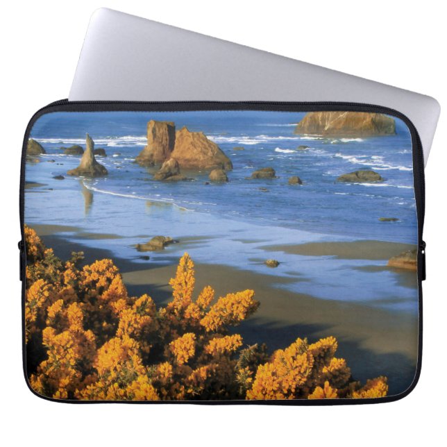 Capa Para Notebook Vista da Praia de Oregon em Bandon (Frente)