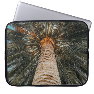 Capa Para Notebook Vista do verme de um coqueiro