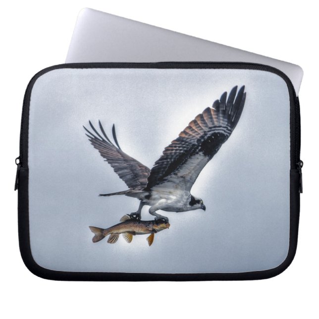 Capa Para Notebook Voando Osprey com Walleye Fish HDR Foto (Frente)