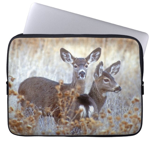 Capa Para Notebook Wild Mule Deer Pair | Califórnia (Frente)