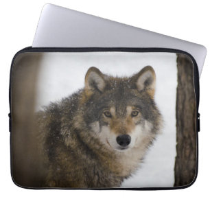 Capa Para Notebook Wolf In Woods Eletrônicos Bag