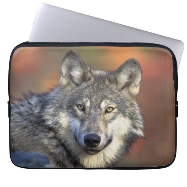 Capa Para Notebook Wolf Wisdom (Frente)