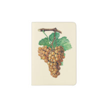 As uvas do "blanc terret", cor: buttercream