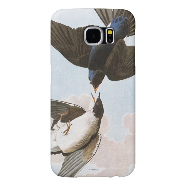Capa Para Samsung Galaxy, Case-Mate Audubon: Andorinha de árvore (Traseira)