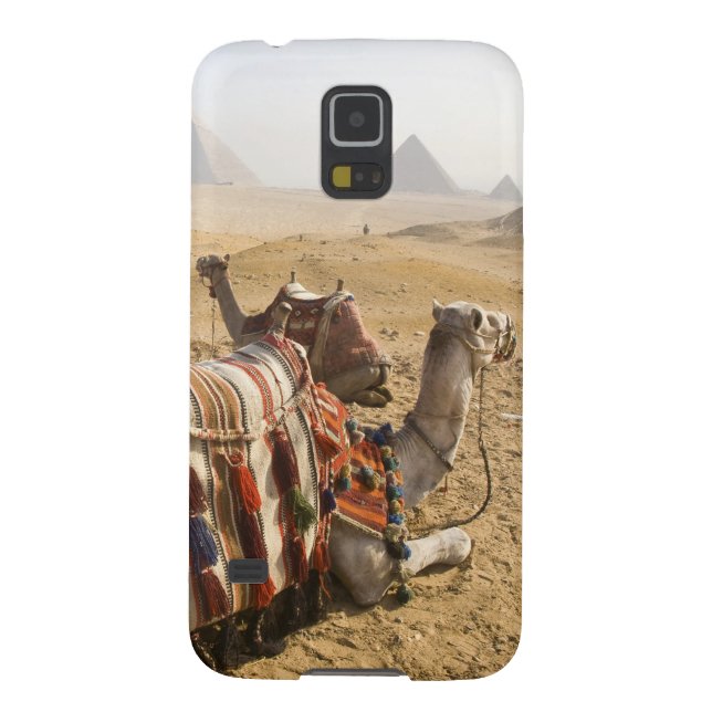 Capa Para Samsung Galaxy, Case-Mate Egipto, o Cairo. Olhar de descanso dos camelos (Traseira)