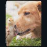 Capa Smart Para iPad Cão e pintinho<br><div class="desc">Persiga segue seus instintos maternais e nuzzles um pintinho. Foto submetida por um leitor do país. O compartimento do país comemora a beleza excitante, pessoas de contrato, resistindo valores e estilo de vida espiritual rewarding do campo americano. Nossos leitores entusiásticos contribuem quase três quartos do índice de cada compartimento, compartilhando...</div>