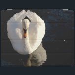 Capa Smart Para iPad Cisne<br><div class="desc">© SALLY 2013 LINDEN| PRODUZIDO SOB a LICENÇA do ARTISTA,  PUBLICADO E DISTRIBUÍDO pelos GRÁFICOS de JADEI,  TODOS OS DIREITOS RESERVADOS ©2014</div>
