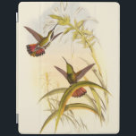 Capa Smart Para iPad Dois coelhos coloridos com o objetivo da mesma flo<br><div class="desc">O artista John Gould era apaixonado pelos pássaros. Nesse desenho colorido,  os dois beija-flores e a flor estão representados de forma linda. Os detalhes nesta colorida arte vão deliciar qualquer amante da arte.</div>