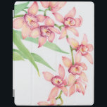 Capa Smart Para iPad Flores Cor-de-Água Rosa<br><div class="desc">Watercolor Pink Flowers Artista: Tim OToole</div>