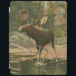 Capa Smart Para iPad Moose Caminhando na Água<br><div class="desc">Você mora longe da natureza? Essa bela e,  no entanto,  clássica dá uma impressão de paz e as cores do alce que caminha na água são precisas,  o que torna essa imagem muito realista. Obtenha esta arte estilizada da natureza em seus produtos favoritos!</div>