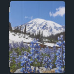Capa Smart Para iPad O Monte Rainier no ponto do paraíso<br><div class="desc">O Monte Rainier é um bocado do céu na terra nesta foto tomada do ponto do paraíso. Foto submetida por um leitor do país. O compartimento do país comemora a beleza excitante, pessoas de contrato, resistindo valores e estilo de vida espiritual rewarding do campo americano. Nossos leitores entusiásticos contribuem quase...</div>