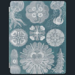Capa Smart Para iPad Sealife Blueprint IV<br><div class="desc">Vida marinha</div>