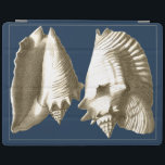 Capa Smart Para iPad Sepia Conch Seashells<br><div class="desc">Você pode ouvir o oceano dessa concha alto e claro! Se você está estressado,  se veja na praia quente de areia. Estas conchas são uma peça de arte excelente com fundo marinho para fazer a imagem ficar mais nítida.</div>