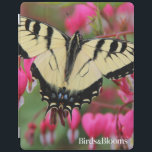 Capa Smart Para iPad Swallowtail oriental<br><div class="desc">Swallowtail oriental em flores do coração de sangramento. A foto submeteu pelo pássaros & floresce leitor. Os pássaros & as flores são o pássaro #1 e o compartimento do jardim em America do Norte. Nós orgulhamo-nos em comemorar a "beleza em seu próprio quintal" cobrir uma vasta gama de assuntos tais...</div>