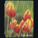 Capa Smart Para iPad Tulipas do primavera<br><div class="desc">Tulipas do primavera na chuva. A foto submeteu pelo pássaros & floresce leitor. Os pássaros & as flores são o pássaro #1 e o compartimento do jardim em America do Norte. Nós orgulhamo-nos em comemorar a "beleza em seu próprio quintal" cobrir uma vasta gama de assuntos tais como a ornitologia,...</div>