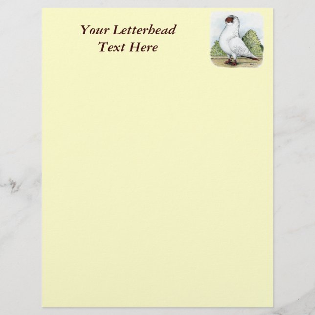 Capacete: Pombo Vermelho (Frente)