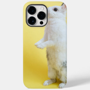 capas de coelho iphone 14