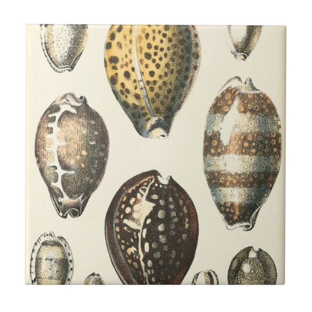 Capas de Costura Uniformes (Frente)