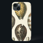 Capas de Costura Uniformes<br><div class="desc">Deite-se na areia quente e encontre os tesouros escondidos! Esta pintura de Kobeit,  ele captura a bela vida hídrica encontrada em terra. Kobeit captura um belo conjunto de conchas temperadas com sépias em tons antigos. Pegue sua bela arte oceânica hoje no seu próximo produto Zazzle.</div>