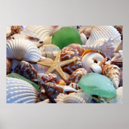 Capas de focas, Poster de Starfish & Beach Glass