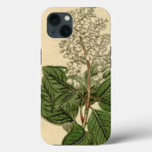 Capas de iphone Arbutus Menziesii