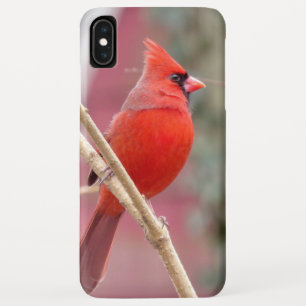 Capas de iphone cardinais vermelhas