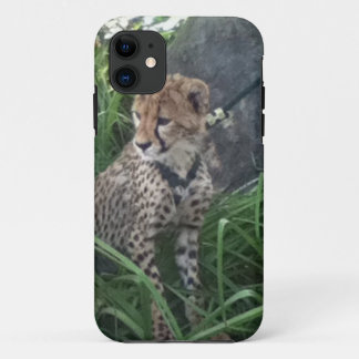 capas de iphone Chita