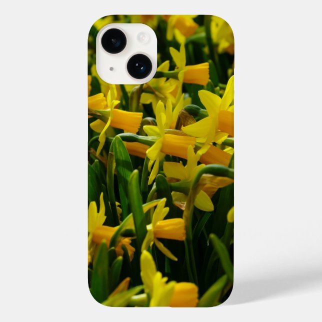 Capas de iphone da família Daffodil (Verso)