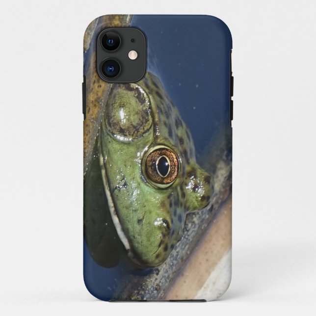 Capas de iphone da rã-gigante (Verso)