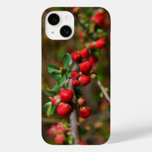 Capas de iphone das tampas Primavera Vermelhas