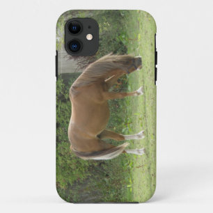 Capas de iphone de Aluguer de Cavalo Castanho