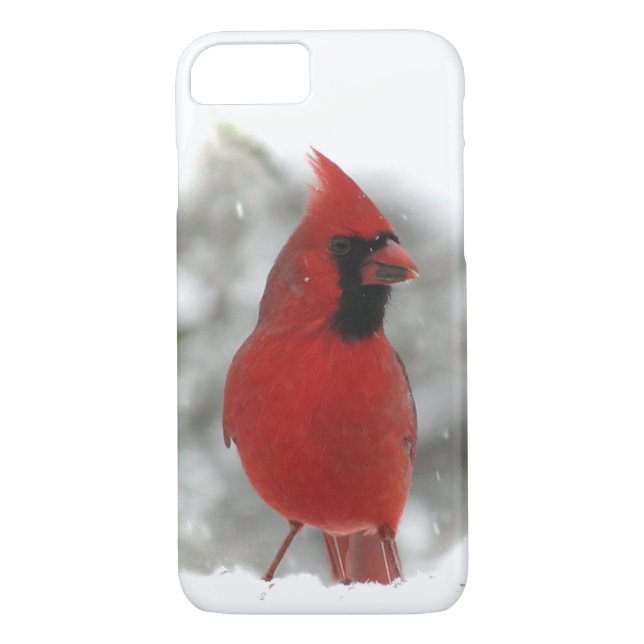 capas de iphone de aves cardinais (Verso)