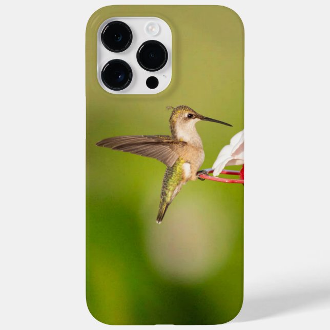 Capas de iphone de beija-flor com Throated #108A06 (Verso)