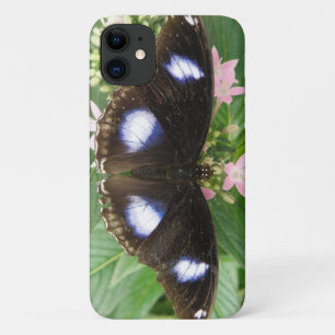 Capas de iphone de borboleta azul