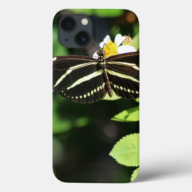 Capas de iphone De Borboleta Zebra Longwing (Verso)