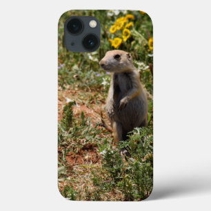 Capas de iphone de Cães Solo Prairie
