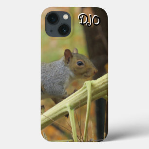 capas de iphone de caixa de cinza de esquilo