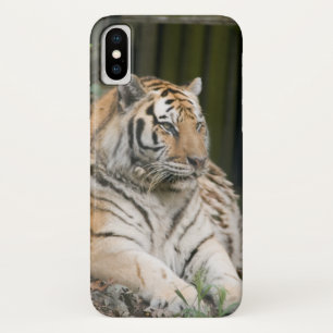 Capas de iphone de Casaco de Tigresa Siberiana