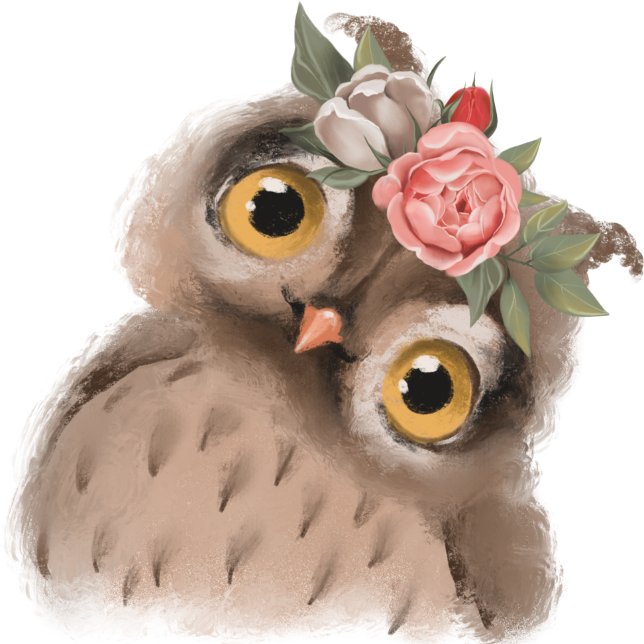 Capas de iphone de Casal de Baby Owl (Criador carregado)