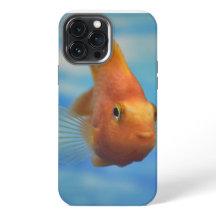 Capas de iphone De Casca De Peixe