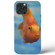 Capas de iphone De Casca De Peixe
