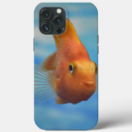Capas de iphone De Casca De Peixe