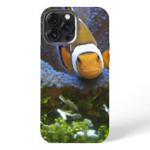 Capas de iphone De Casca De Peixe