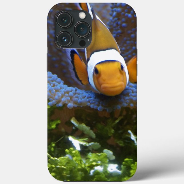 Capas de iphone De Casca De Peixe (Verso)