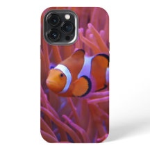Capas de iphone De Casca De Peixe